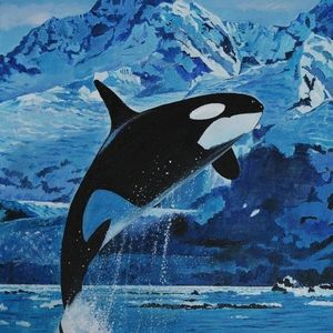 Meet your Posher, Yosofun